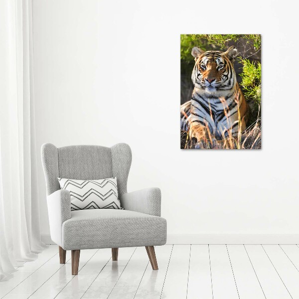 Acrylic print Tiger