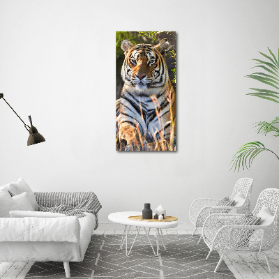 Acrylic print Tiger