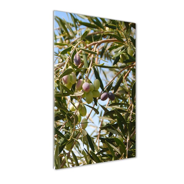 Acrylic wall art Olives on a tree