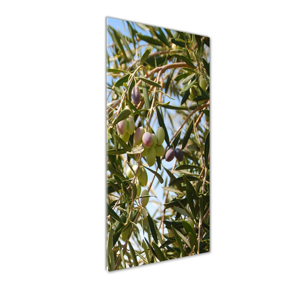 Acrylic wall art Olives on a tree