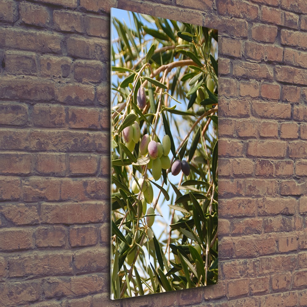 Acrylic wall art Olives on a tree