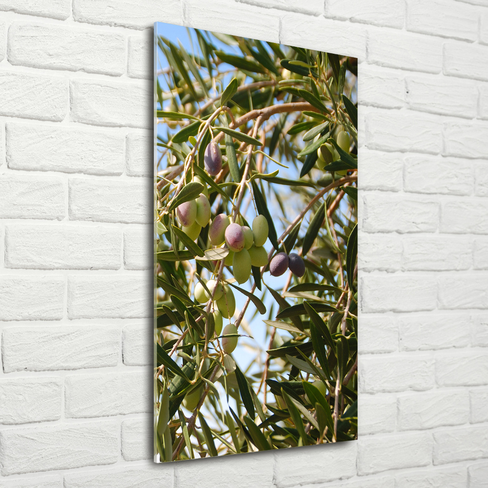 Acrylic wall art Olives on a tree