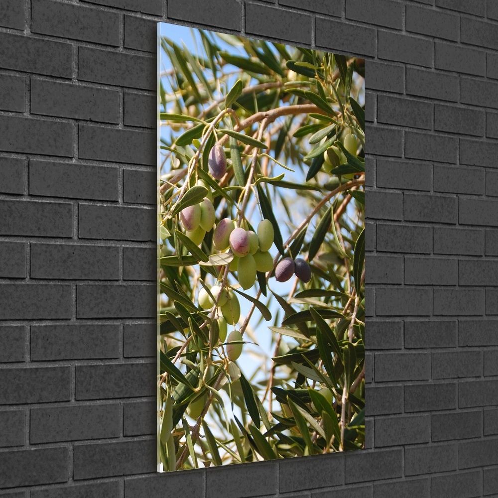 Acrylic wall art Olives on a tree