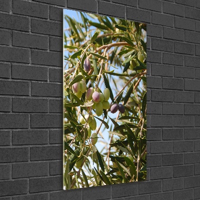 Acrylic wall art Olives on a tree