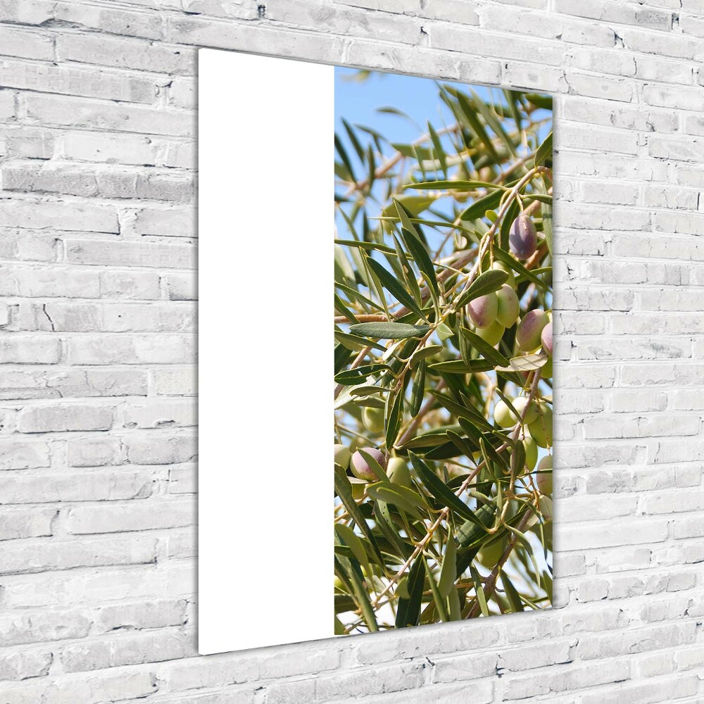 Acrylic wall art Olives on a tree