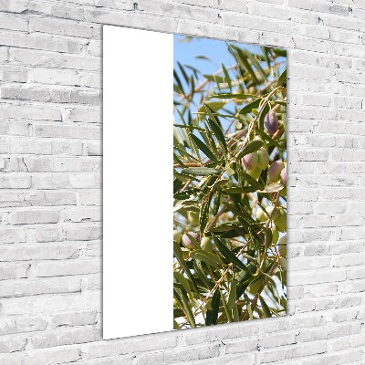 Acrylic wall art Olives on a tree