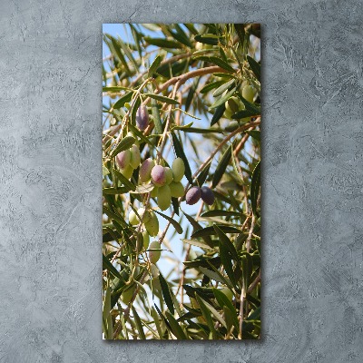 Acrylic wall art Olives on a tree