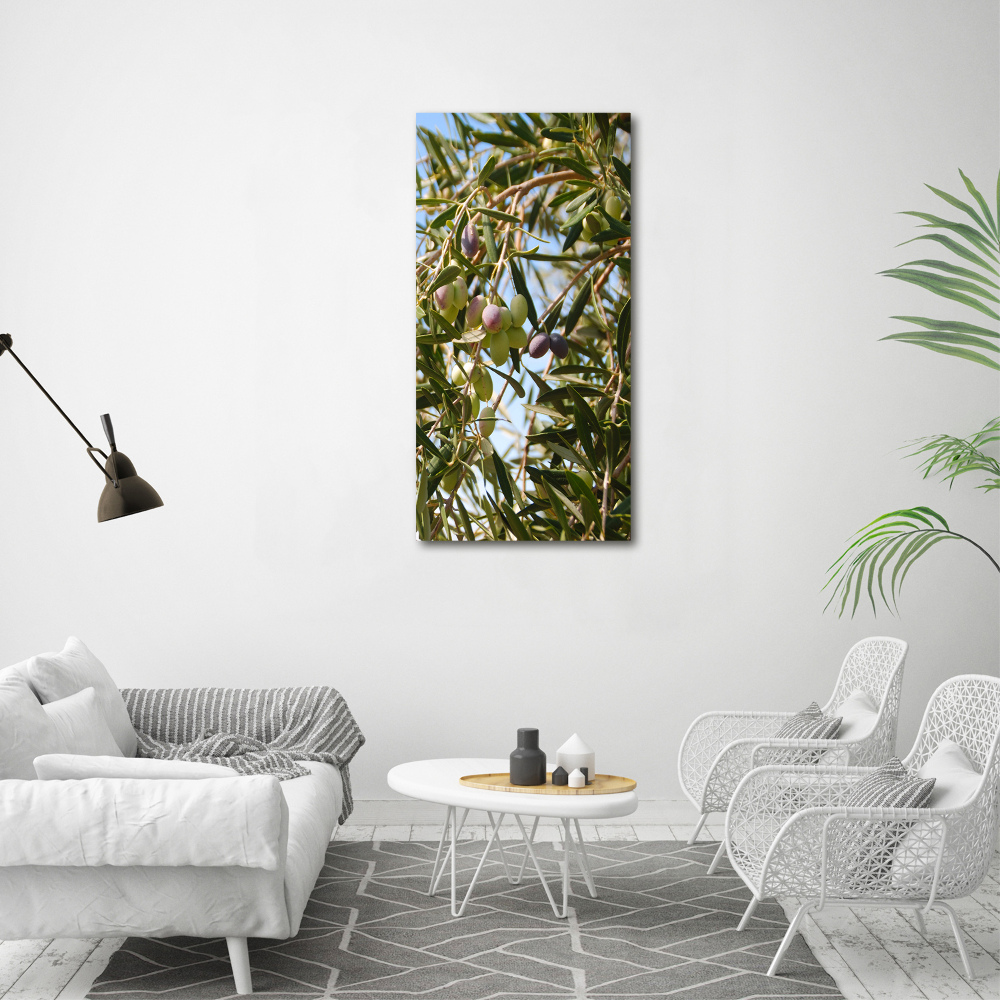 Acrylic wall art Olives on a tree