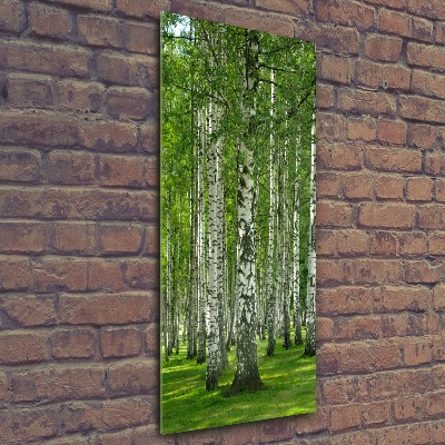 Acrylic wall art Birch forest