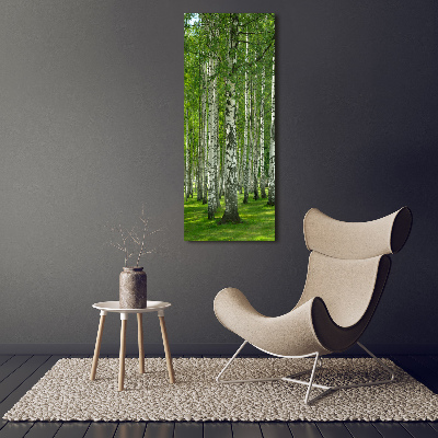 Acrylic wall art Birch forest