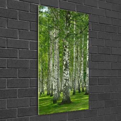 Acrylic wall art Birch forest