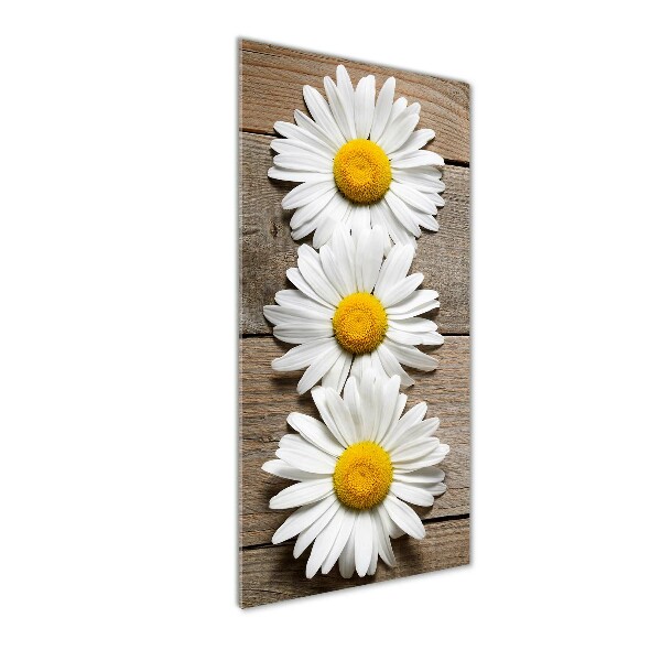 Wall art acrylic Chamomile on wood