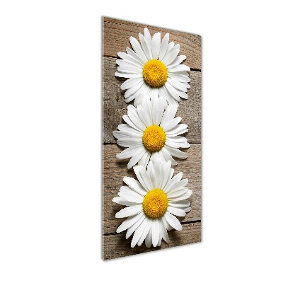 Wall art acrylic Chamomile on wood