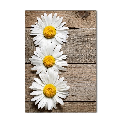 Wall art acrylic Chamomile on wood