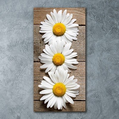 Wall art acrylic Chamomile on wood