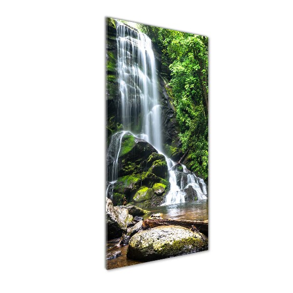 Print on acrylic Waterfall in the jungle