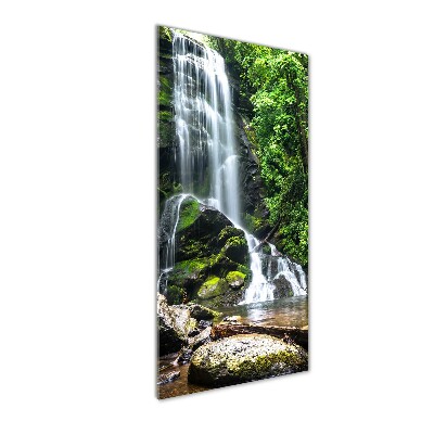 Print on acrylic Waterfall in the jungle