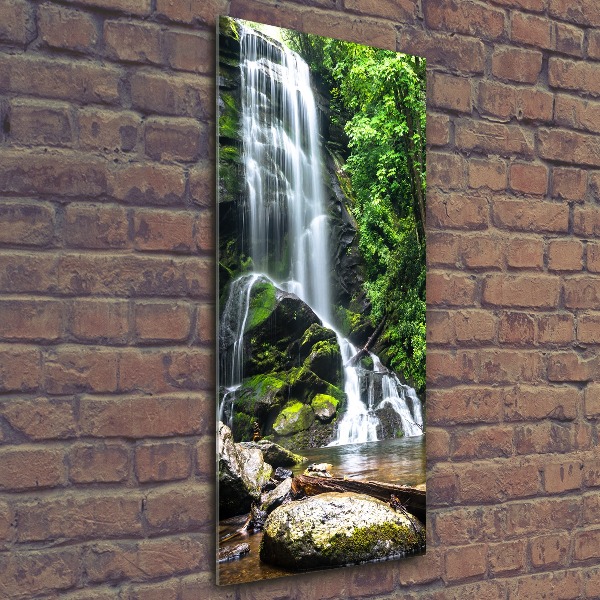 Print on acrylic Waterfall in the jungle