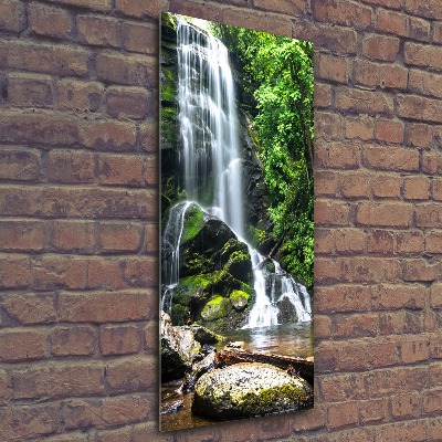 Print on acrylic Waterfall in the jungle