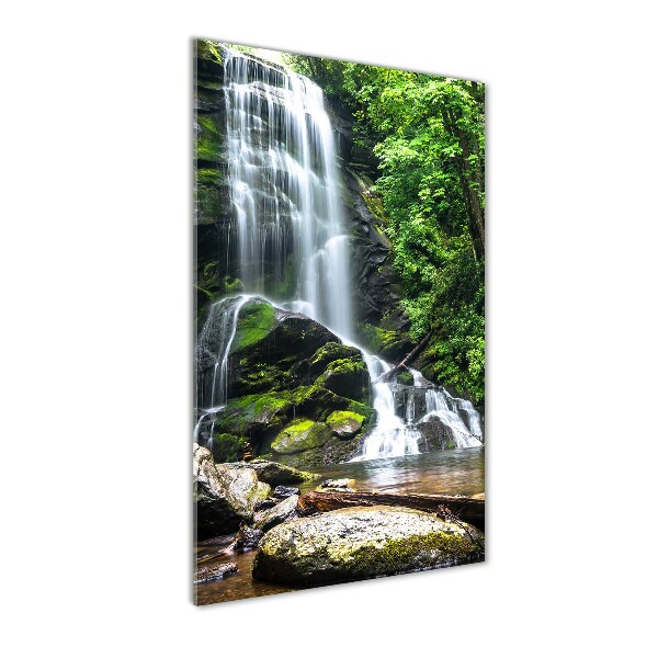 Print on acrylic Waterfall in the jungle