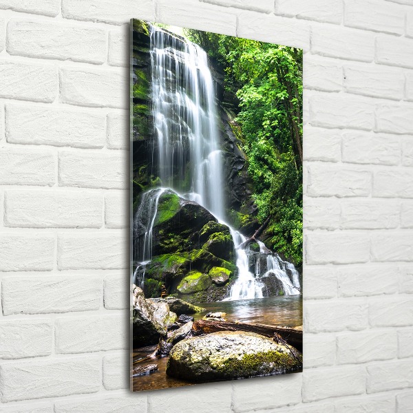 Print on acrylic Waterfall in the jungle