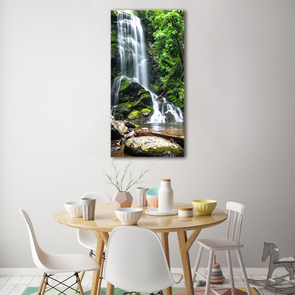 Print on acrylic Waterfall in the jungle