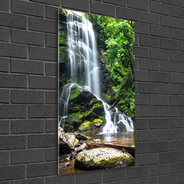 Print on acrylic Waterfall in the jungle