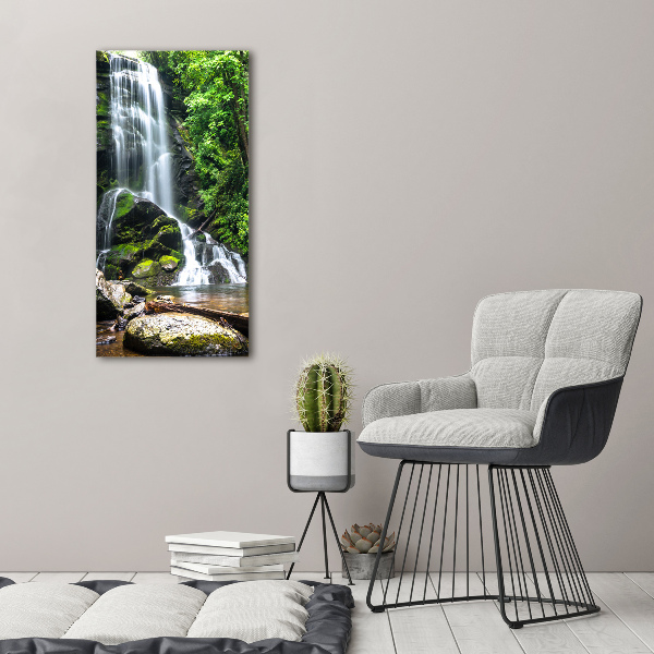 Print on acrylic Waterfall in the jungle