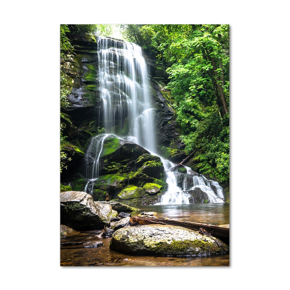 Print on acrylic Waterfall in the jungle