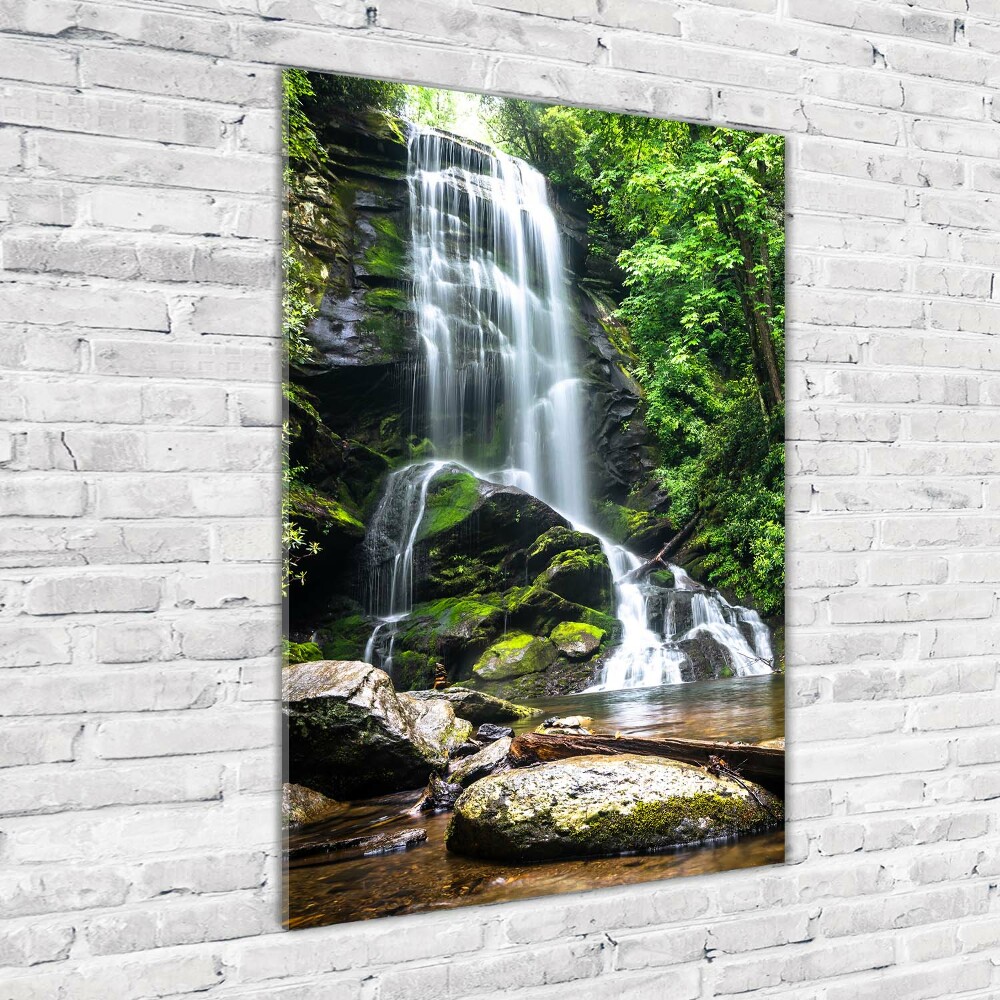 Print on acrylic Waterfall in the jungle