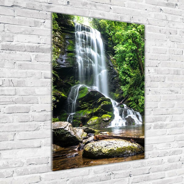 Print on acrylic Waterfall in the jungle