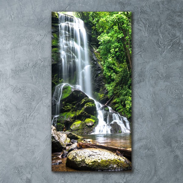 Print on acrylic Waterfall in the jungle