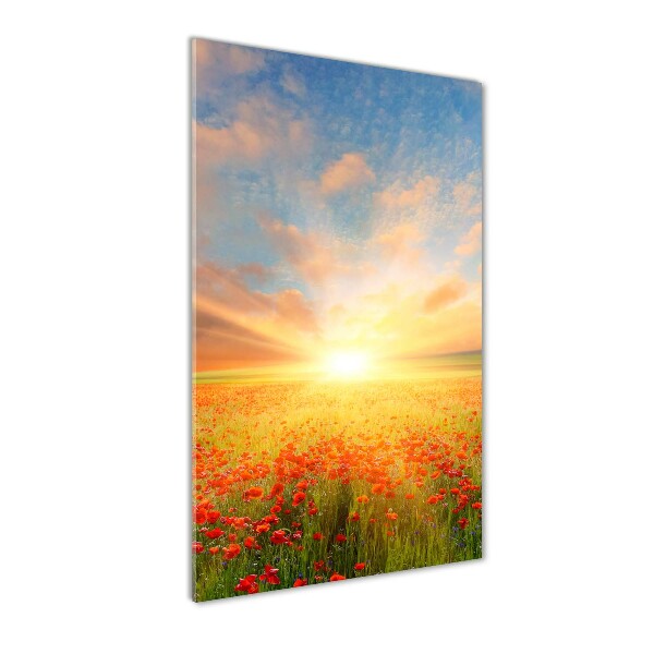 Print on acrylic Mak�w field