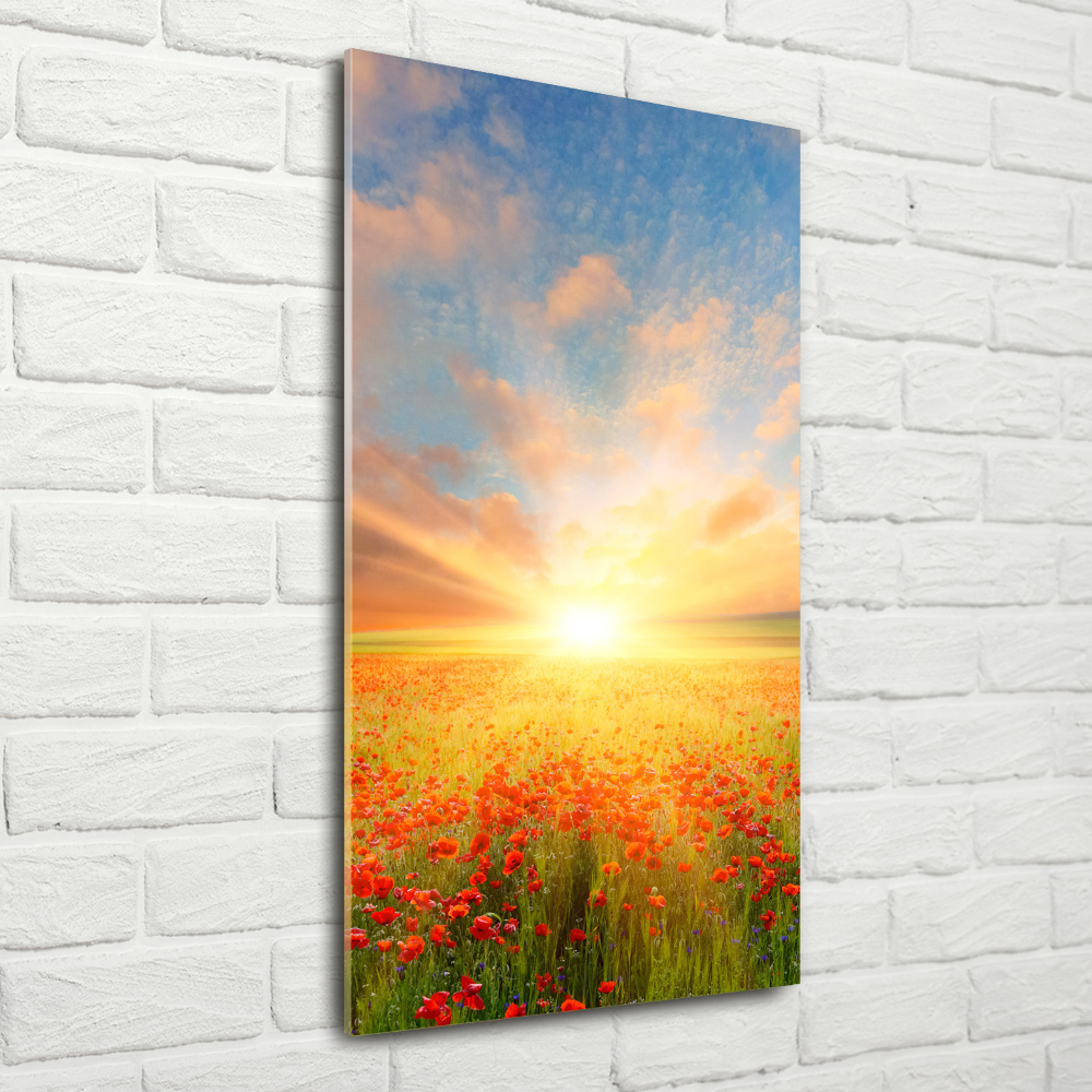 Print on acrylic Mak�w field