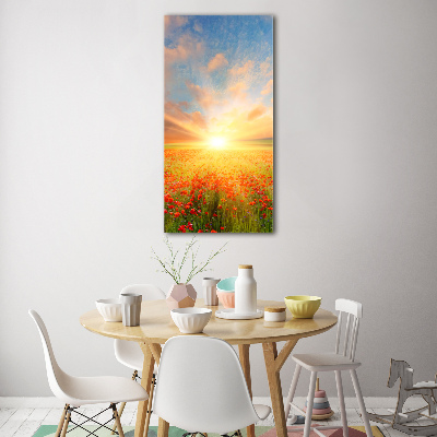 Print on acrylic Mak�w field