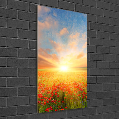 Print on acrylic Mak�w field