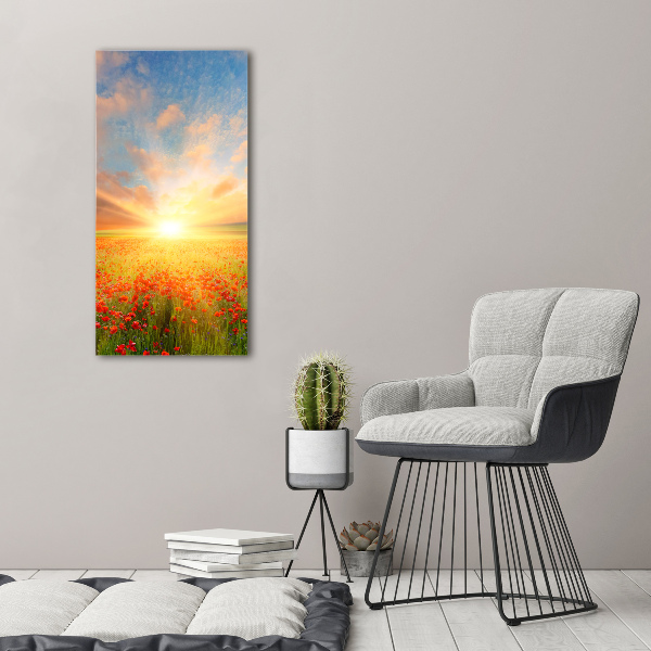 Print on acrylic Mak�w field