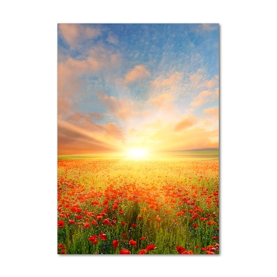 Print on acrylic Mak�w field