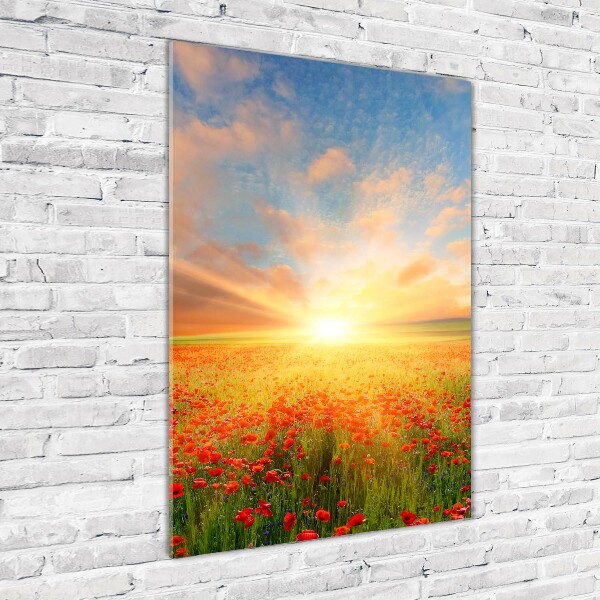 Print on acrylic Mak�w field