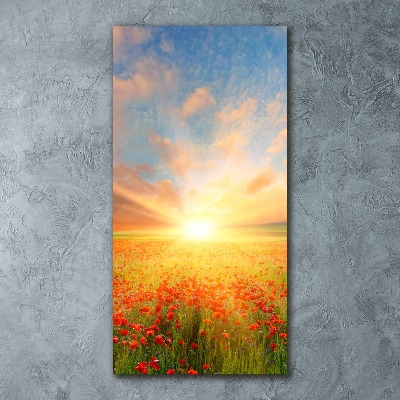 Print on acrylic Mak�w field