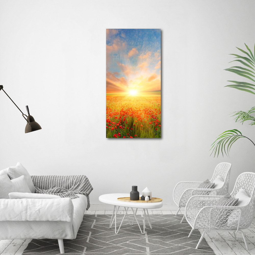 Print on acrylic Mak�w field