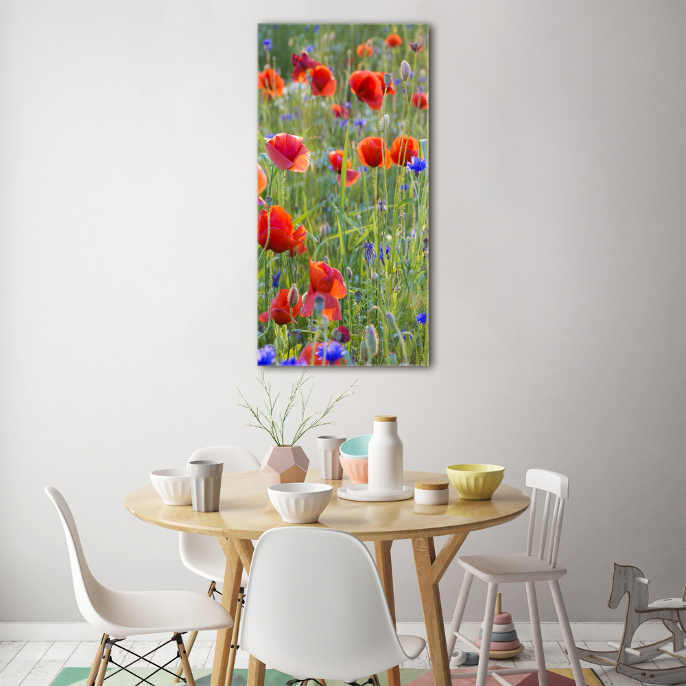 Print on acrylic Field poppies