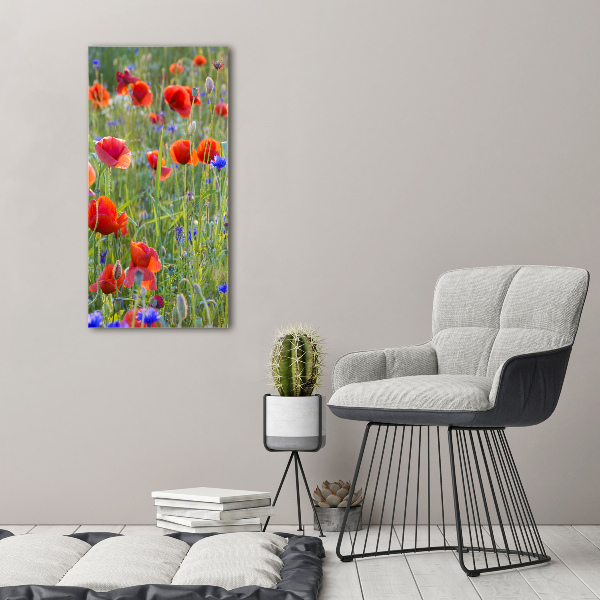 Print on acrylic Field poppies