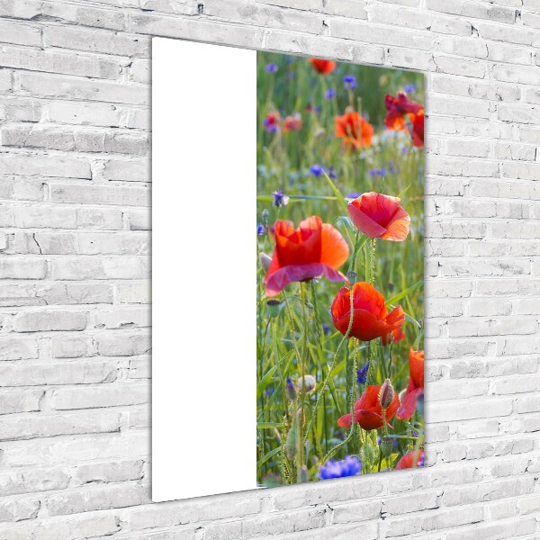 Print on acrylic Field poppies