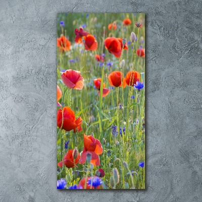 Print on acrylic Field poppies