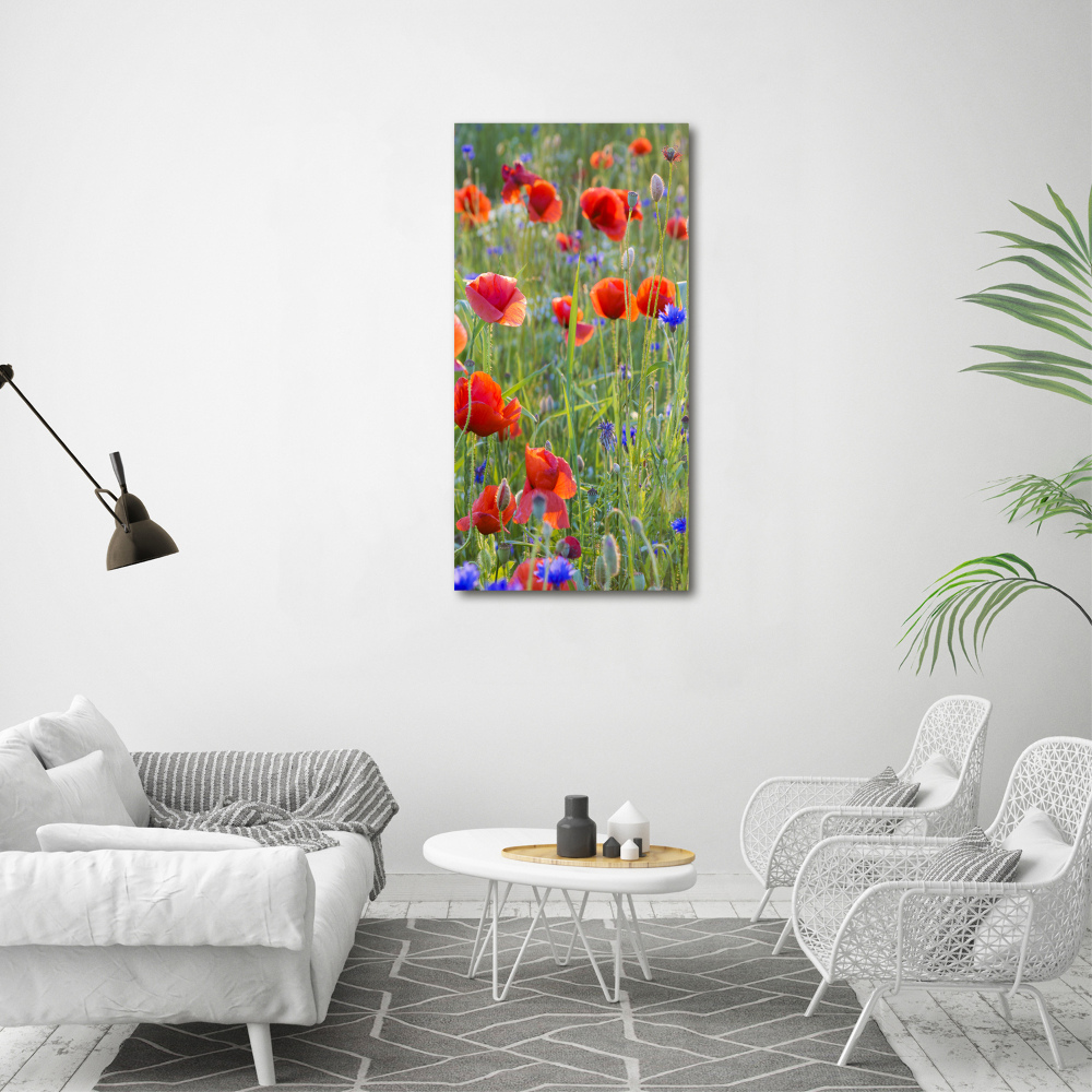 Print on acrylic Field poppies