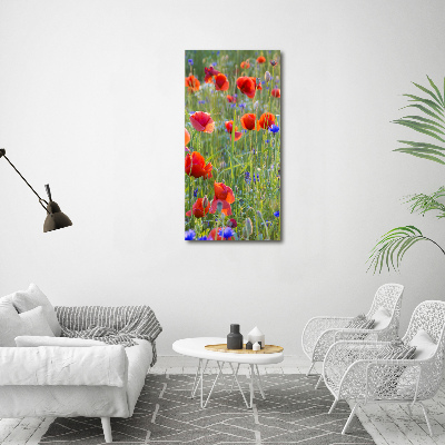 Print on acrylic Field poppies