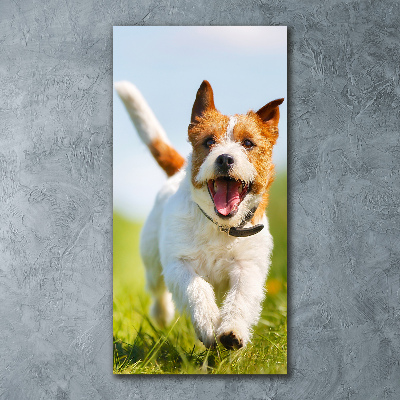 Print on acrylic glass Jack Russell dog