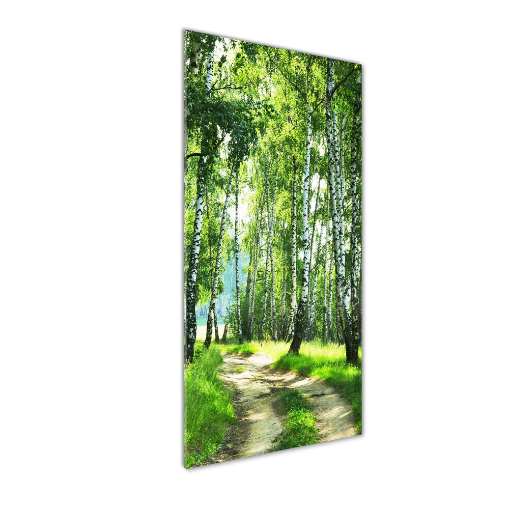 Print on acrylic Birch forest