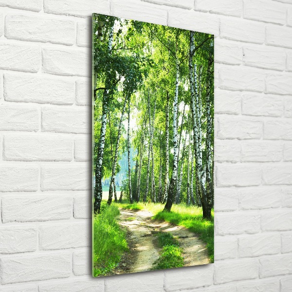 Print on acrylic Birch forest